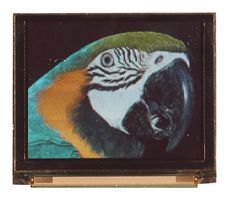 MDOG160128A2V-RGBM - Graphic OLED, 160 x 128 Pixels, RGB on Black, 5V, I2C, Parallel, SPI, 35.8mm x 45.3mm, -40 °C - MIDAS