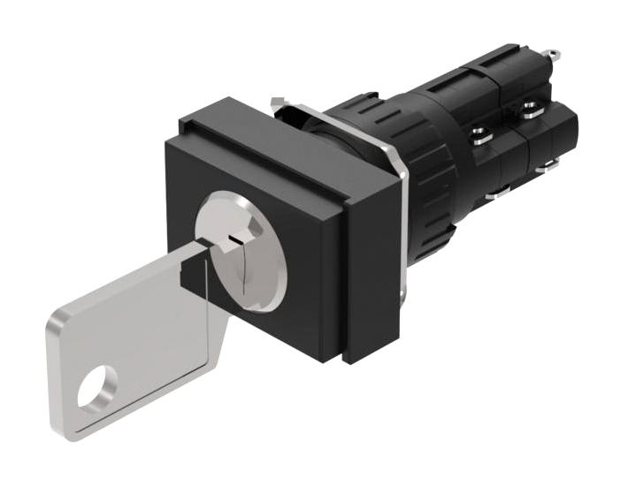 51-296.025D2 KEYLOCK SWITCH, 2POS, DPST, 5A, 250V EAO