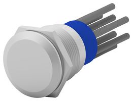 AV1920EG12T5Q04 Vandal Resistant SW, DPST, 3a, 250VAC Alcoswitch - Te Connectivity