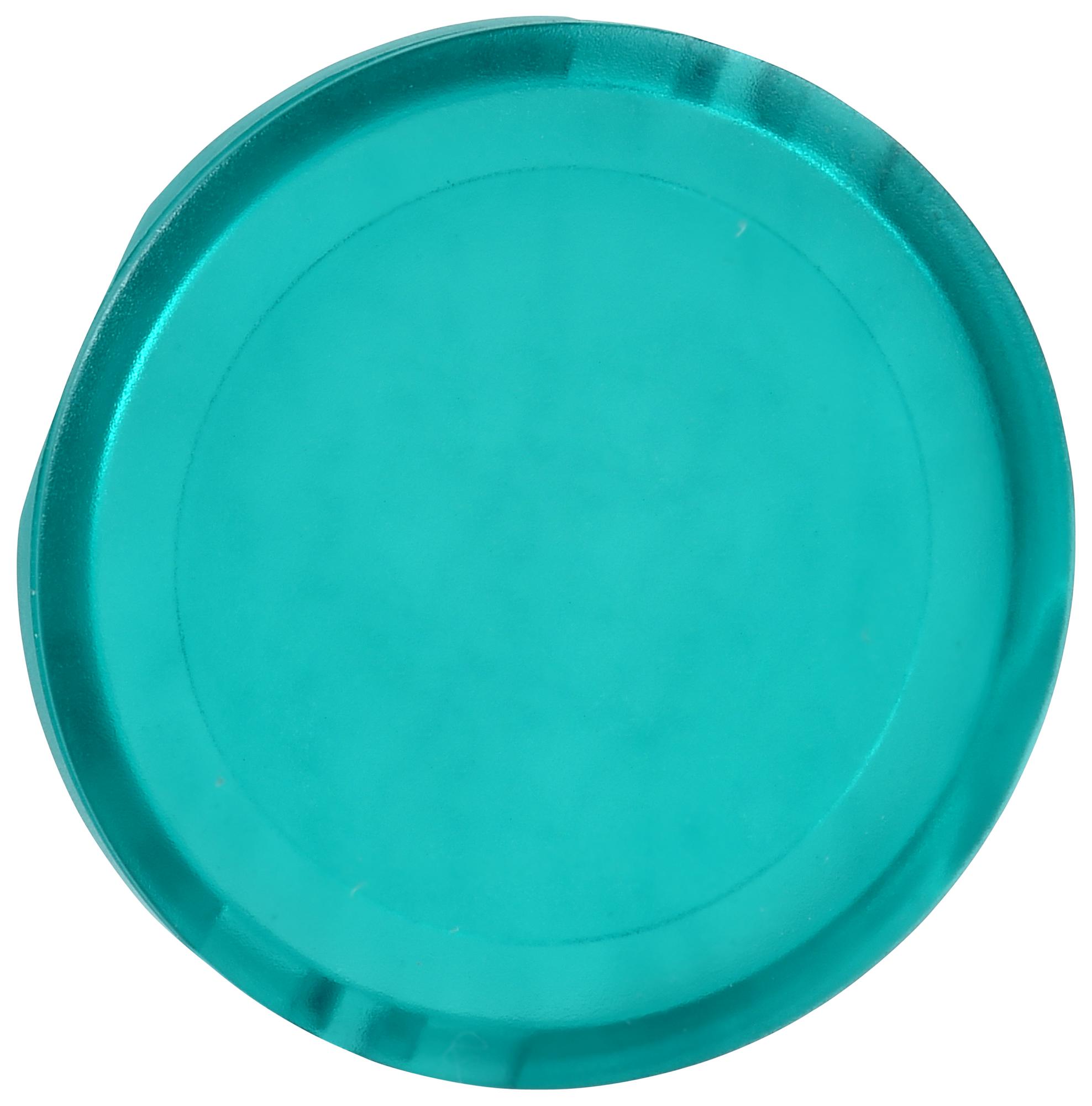 SCHNEIDER ELECTRIC Caps ZBW9133 SWITCH CAP, GREEN, PUSH BUTTON SCHNEIDER ELECTRIC 3114814 ZBW9133